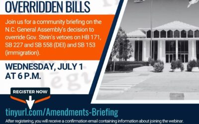 Dawn Blagrove Joins Statewide Community Briefing on Legislative Overrides